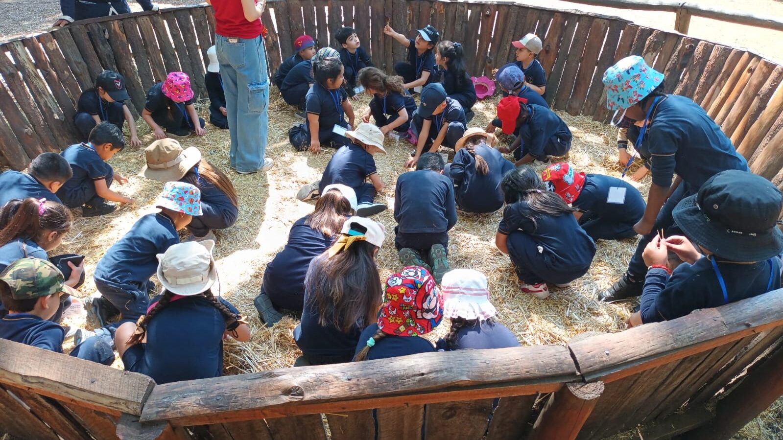 a8a175e3-89c2-43fc-8855-d305f92d7f82